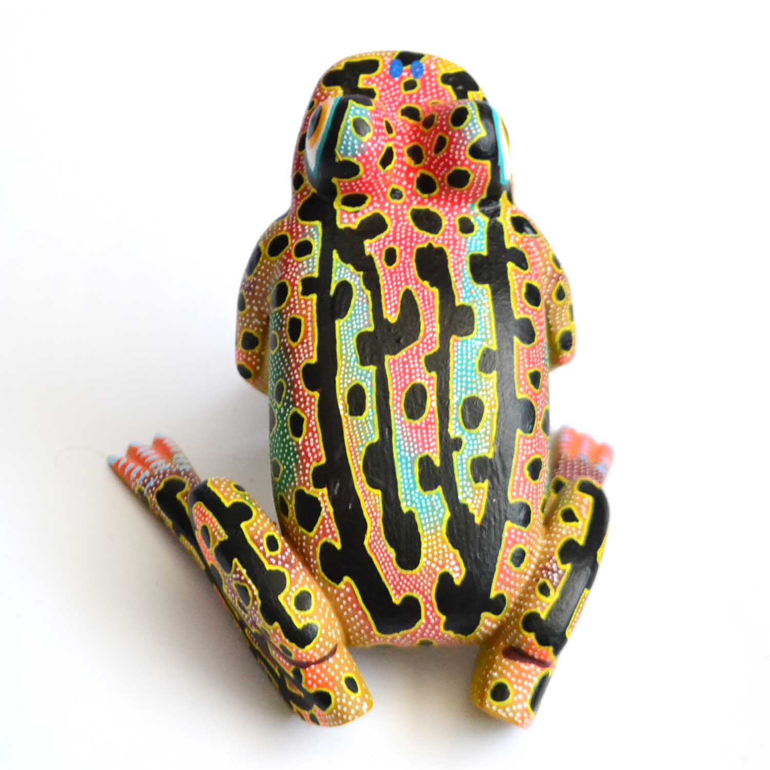 Rana - Frog