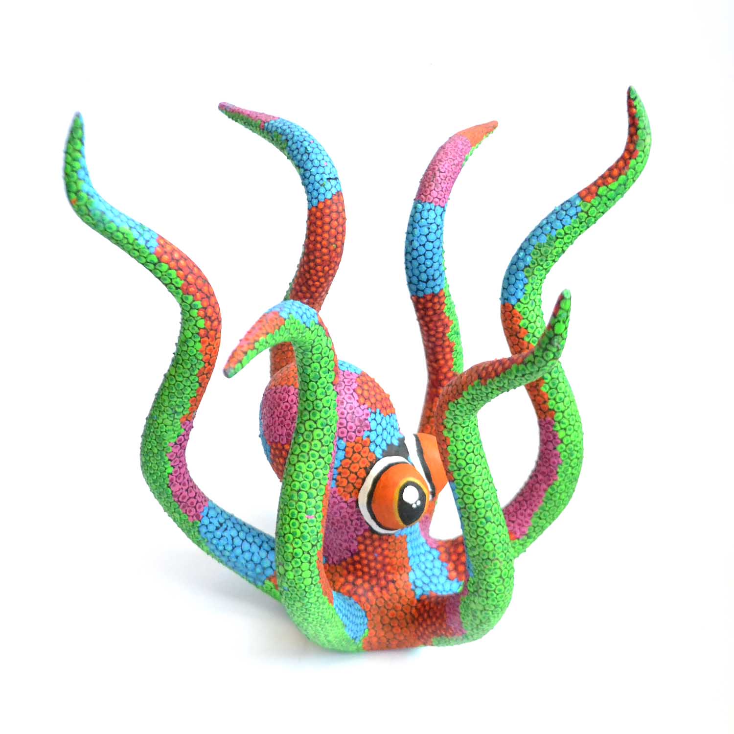 Pulpo - Octopus