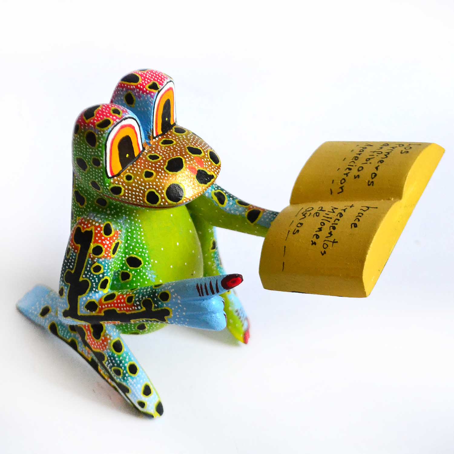 Frog - Book (S)