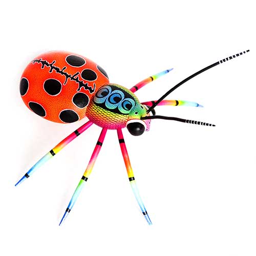 Mariquita - Ladybug